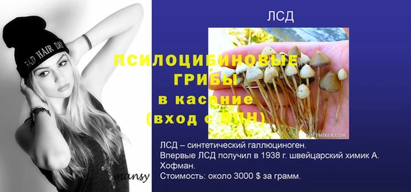 гидра Слюдянка
