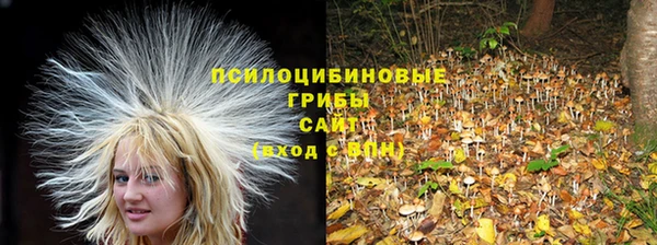 героин Богородицк